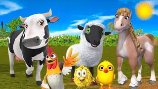El Pollito Pío y el Tractor de la Granja Canciones de la Granja de Zenón Toro