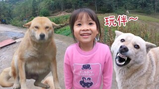 เด็กชนบทกลับบ้านหลังเลิกเรียน อย่างแรกที่ทำคือหาหมาเล่นด้วย นี่แหละคือวัยเด็กที่สมบูรณ์