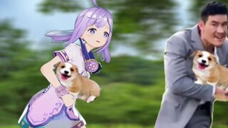 Innocent Lolita teamed up with Ga Zi to steal a dog · [When a newbie in the v-circle encounters a me