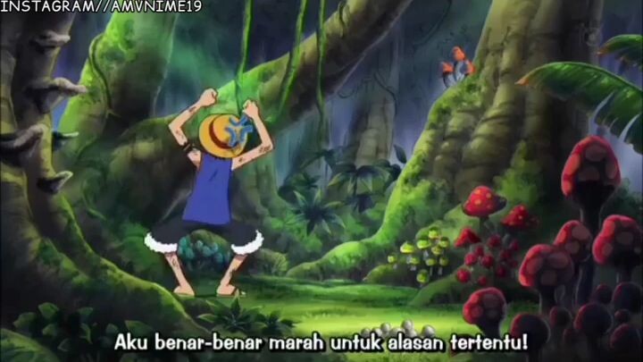 Jamur Tertawa makanan Yang Kubutuhkan saat ini.📺Anime: One piece episode 408. 🎵: Laskar Pelangi.