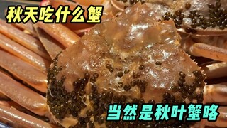 Calling the crab "brother" makes the food taste much sweeter!