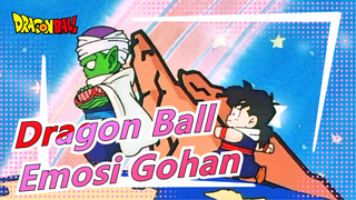 [Dragon Ball Z / TV Ver. Mashup] Emosi Siulan Gohan~ Piccolo Tercinta Gohan~
