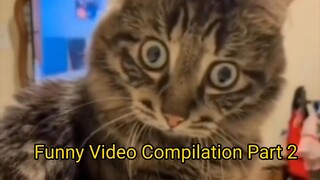 Funny Video Compilation Part 2
