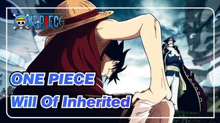 [ONE PIECE] Will Of Inherited