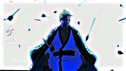 未来の海賊王の右腕