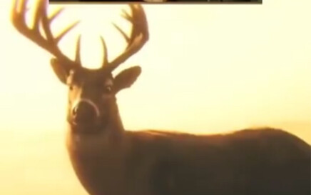 هكذا كنت وأنا ألعب The Elder Scrolls V: Skyrim (باكيًا)