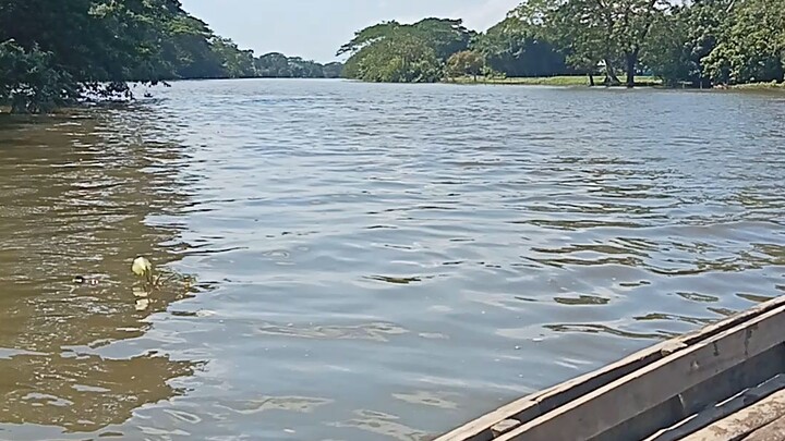 কচুডাইল নদি