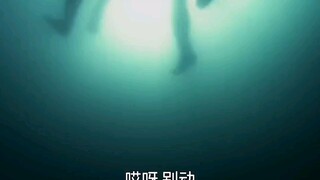 珍爱生命，少游野泳！"电影鳄梦岛上演孤岛求生"鳄梦岛"