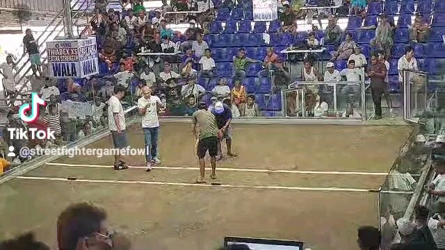 swhite 2nd win/ namatay din sa sugat 😔😔 salute sayo warriors🙏🤝🙏