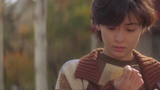 [Love Letter] If we had been brave at the beginning, what would we be like now?