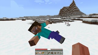 Animasi Player Minecraft