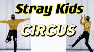 CIRCUS Quick Flip | Crazy! Stray Kids' latest Japanese album is back | This song sounds really relax