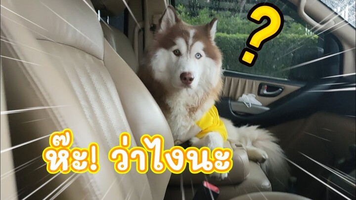 เอาไงล่ะทีนี้ 😆