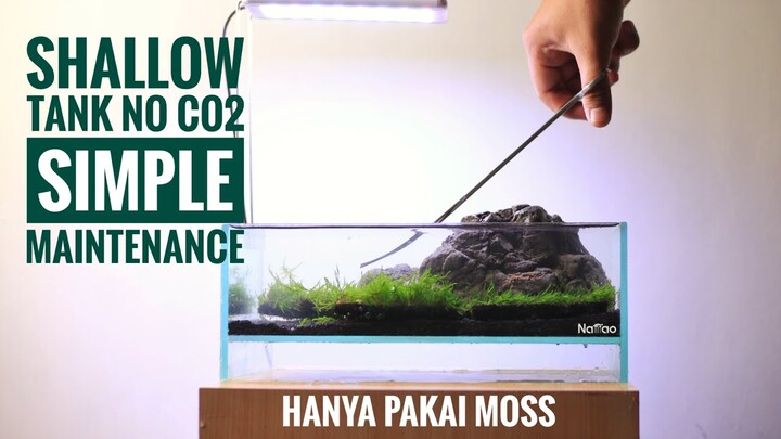 Aquascape tutorial : SIMPLE SHALLOW Aquarium 30 cm
