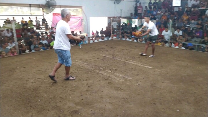 First Fight Win. Right side.