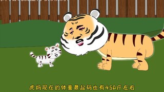 满月的小虎崽，能挡住成年虎的全力一扑