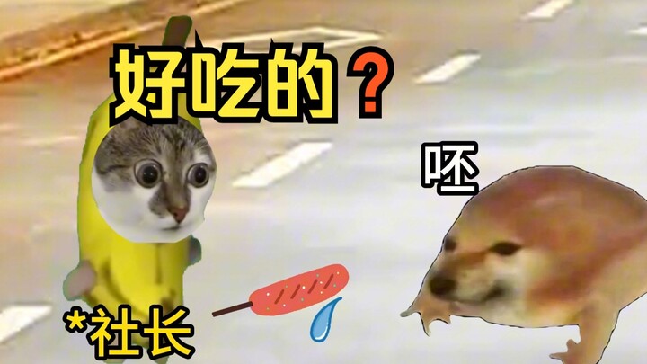 【猫meme】记得吃点好的，兄弟们……😐