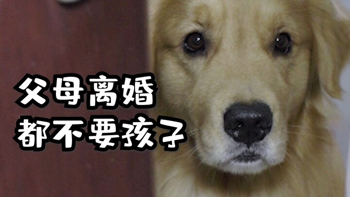 [Drama Reenactment] After my parents divorced and each remarried, where is my home now?