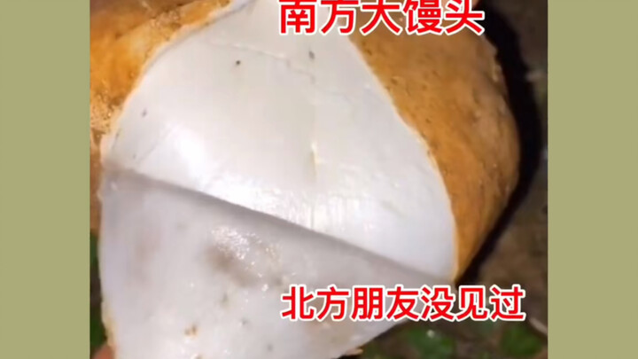 Southern steamed buns—northern friends have never seen them.