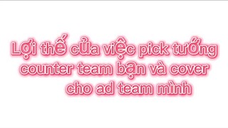 Hiểu được chất tướng là bạn đã nắm chắc phần thắng trong tay rồi | PaineHN #liênquânmobile