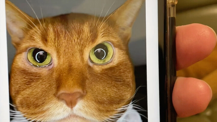 Who did this job? hhhh