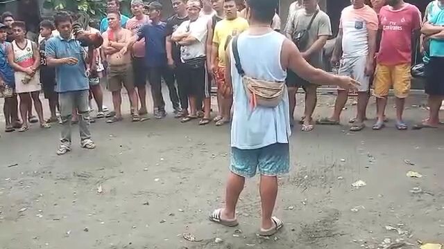 brown red ( Silent Assassin GY )