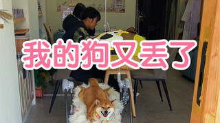 Da Huang is lost again. I am tired of eating roast duck and I am attracted to the little sister's...