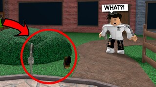 I become INVISIBLE To SCARE Toxic TEAMERS..(Murder Mystery 2)