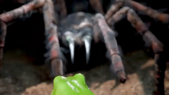 ซ่อมฟัน