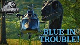 BLUE GET'S CHASED ! 🦖  - Jurassic World Evolution [4K]