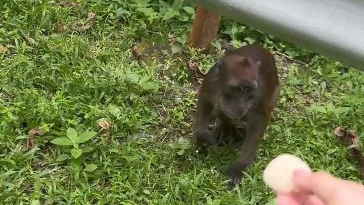 善良要帶點鋒芒，才不會被吞噬你還在堅持「做人要善良就好」？可你有沒有發現——🤯 總是你幫人，最後吃虧的還是你？😤 總是你退讓，最後被踩在腳下？這個社會早就變了，善良要帶點鋒芒，才不會被