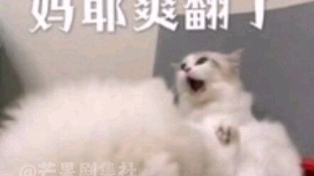 Backlash literature meets real life—fighting magic with magic!