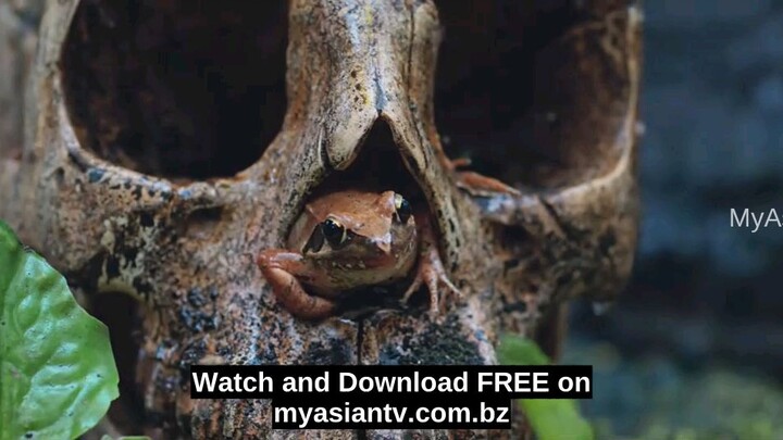 the imperial coroner S2 2026 ep25 [engsub]