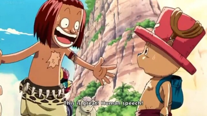 One Piece: Chopper's Kingdom in the Strange Animal Island