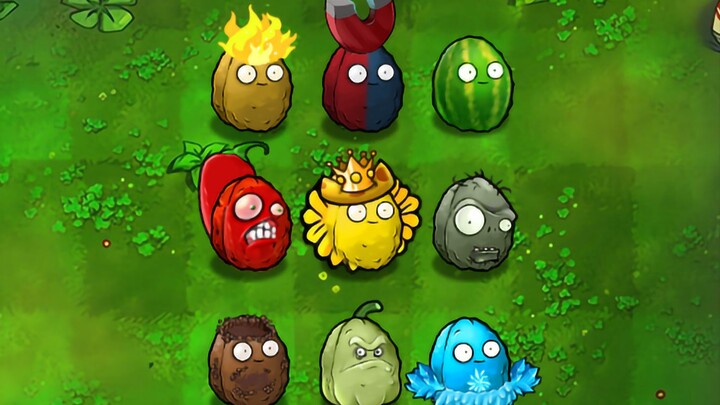 Variety Nuts