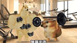 Men's Weight Loss vs. Women's Weight Loss