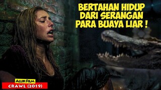 Bertahan Hidup Dari Serangan Para Buaya Yang Masuk Pemukiman Warga | Alur Cerita Film