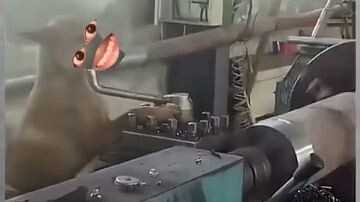 New worker 😮😮