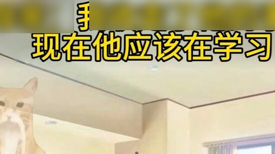 【Cat meme】The mobile phone is just the most fun of my many toys