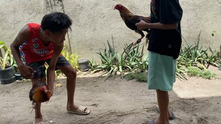 with ejdbantam