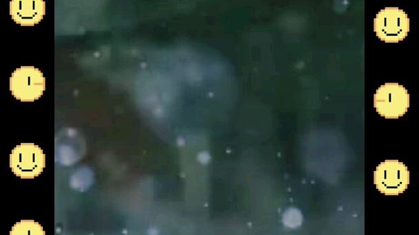 lagi gabut ga usah di tonton kalo ga mu kecewa gua ga bisa edit