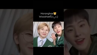 Horanghae🐯Wooahae🍚#seventeen #hoshi #woozi #scoups #dk #dino #mingyu #seungkwan #joshua #jeonghan