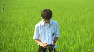 Chiếc xe điện, những con ve sầu và xác chết của tôi