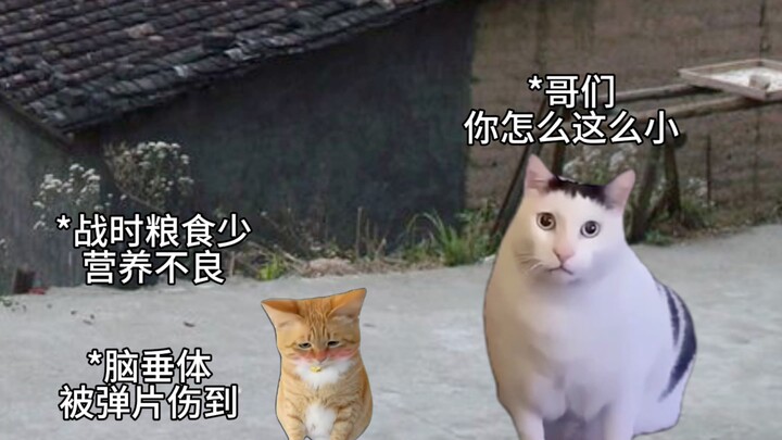 جسده الذي يبلغ أربعة أقدام هو دعامة الوطن.