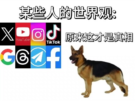 Thế giới quan của một số người: Thì ra sự thật chính là đây
