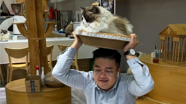 Lose 20 pounds in a month? That’s a piece of cake!