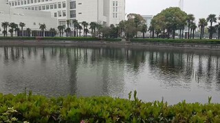 【جامعة شنغهاي】 مخيف جدًا! هناك وحش مائي في بركة بانشي، ويهاجم الناس أيضًا!