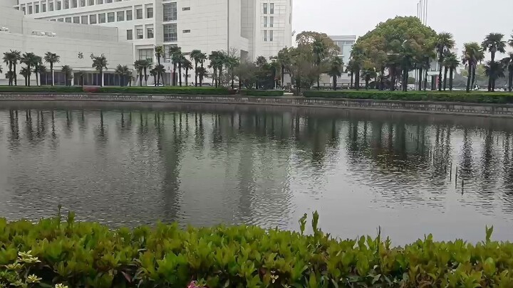 【มหาวิทยาลัยเซี่ยงไฮ้】น่ากลัวมาก มีสัตว์ประหลาดในบ่อน้ำ แถมยังจู่โจมคนได้ด้วย