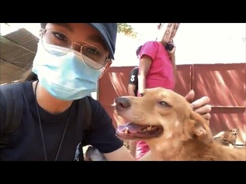 MBY PET RESCUE AND SANCTUARY