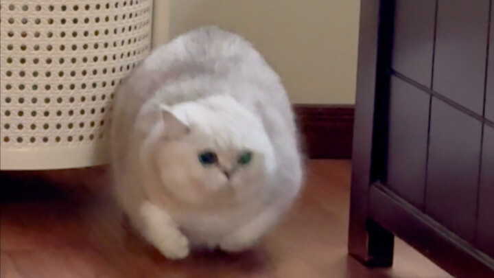 I don't know what I'm busy with, but I'm very busy